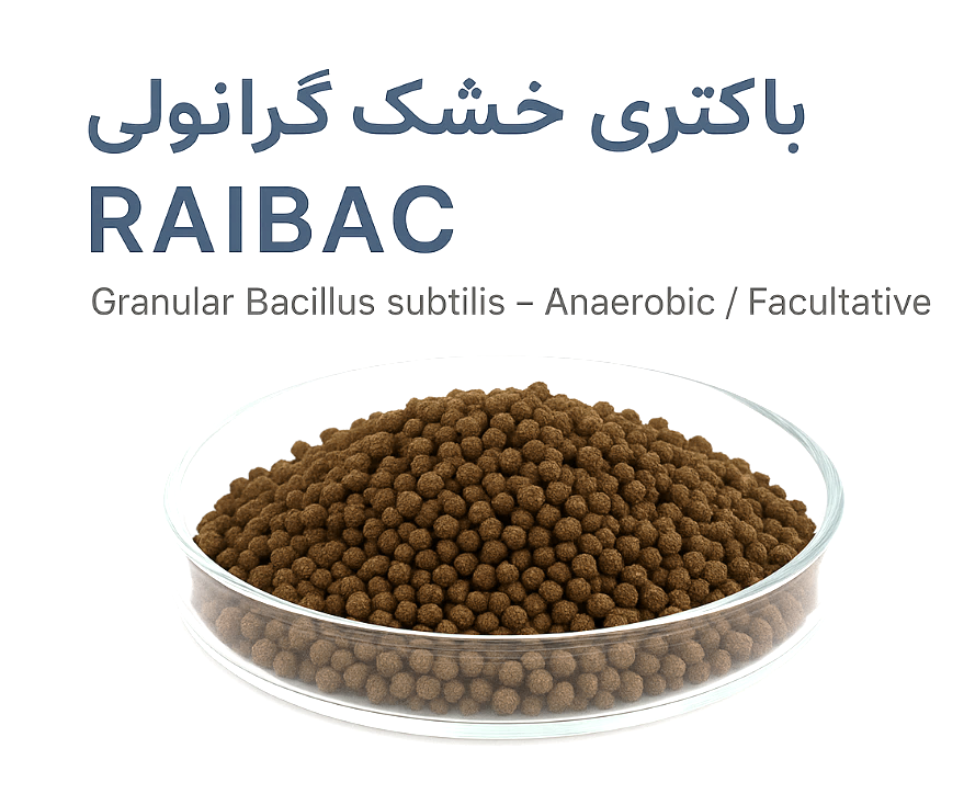  باکتری خشک گرانولی RAIBAC