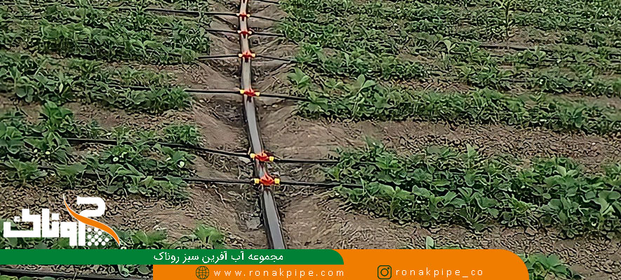 لوله پلی اتیلن آبیاری قطره ای